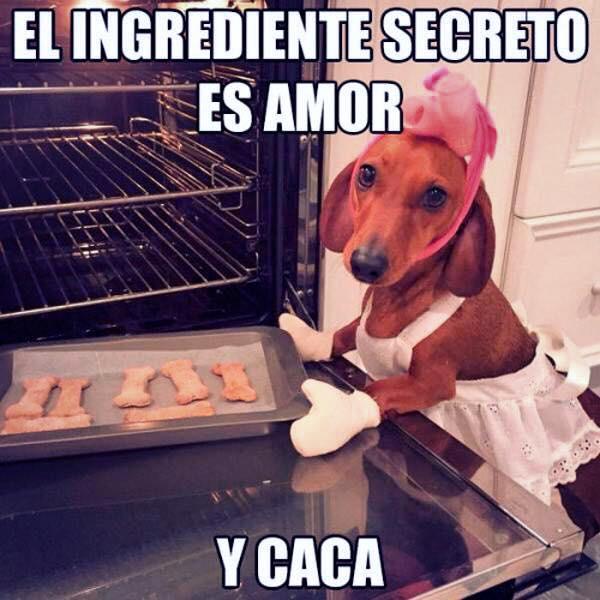 PPTeamKaren's tweet photo. Buen domingo!! Aria les preparo una galletitas! http://t.co/RbfsD9BqiM