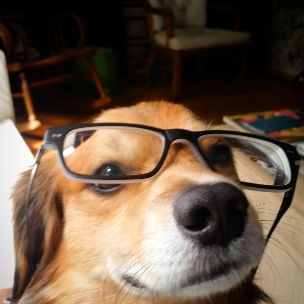 We Eat Stuff tweet media