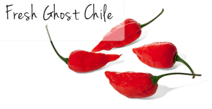 TheChileVine's tweet photo. What is a Ghost Chile? http://t.co/hIOQs4jiET via - @FriedasProduce #friedas #chilevine #hotpeppers #ghostpepper http://t.co/Kk54flhTbf