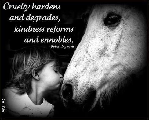 JenniferTanas's tweet photo. Make Horse Abuse, Slaughter & Animal Cruelty Illegal worldwide. https://t.co/mzMA1LgwOt #NoUseForAbuse http://t.co/Ngs9LH1xfm