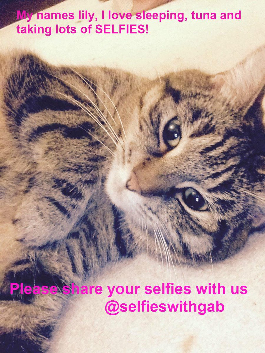 Selfieswithgab's tweet photo. #funny #selfieswithgab #Selfies #livelaughlove #SundayFunday http://t.co/Jf0fzf6lpj