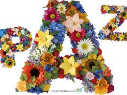 Estamos en la transicion a la paz. Opinion.

anncol.eu/index.php/opin…