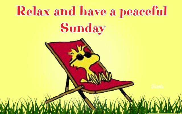 Tyrian_Blue's tweet photo. We hope that you relax and have a great Sunday! http://t.co/VyKL8q29TT