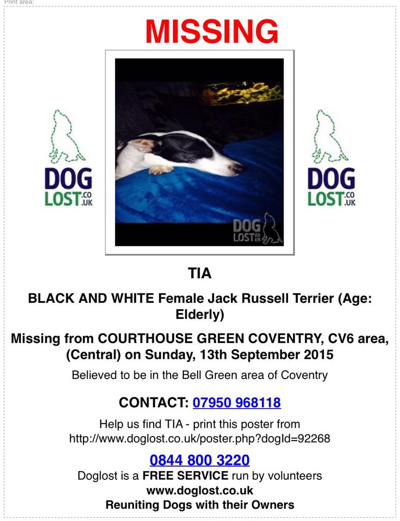 TrishaShaw's tweet photo. Pls RT - TIA, elderly Jack Russell Terrier MISSING from Coventry. Spotted in Bell Green #helpfindTia http://t.co/mfUPpl5bOB