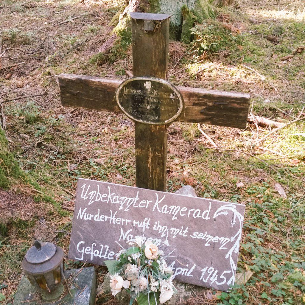 HerrMauser's tweet photo. Von Fröschen, Käfern und Soldatengräbern: Pilzwandern in der Fränkischen.  #Wochenendprogramm http://t.co/lNSt7zCA1L