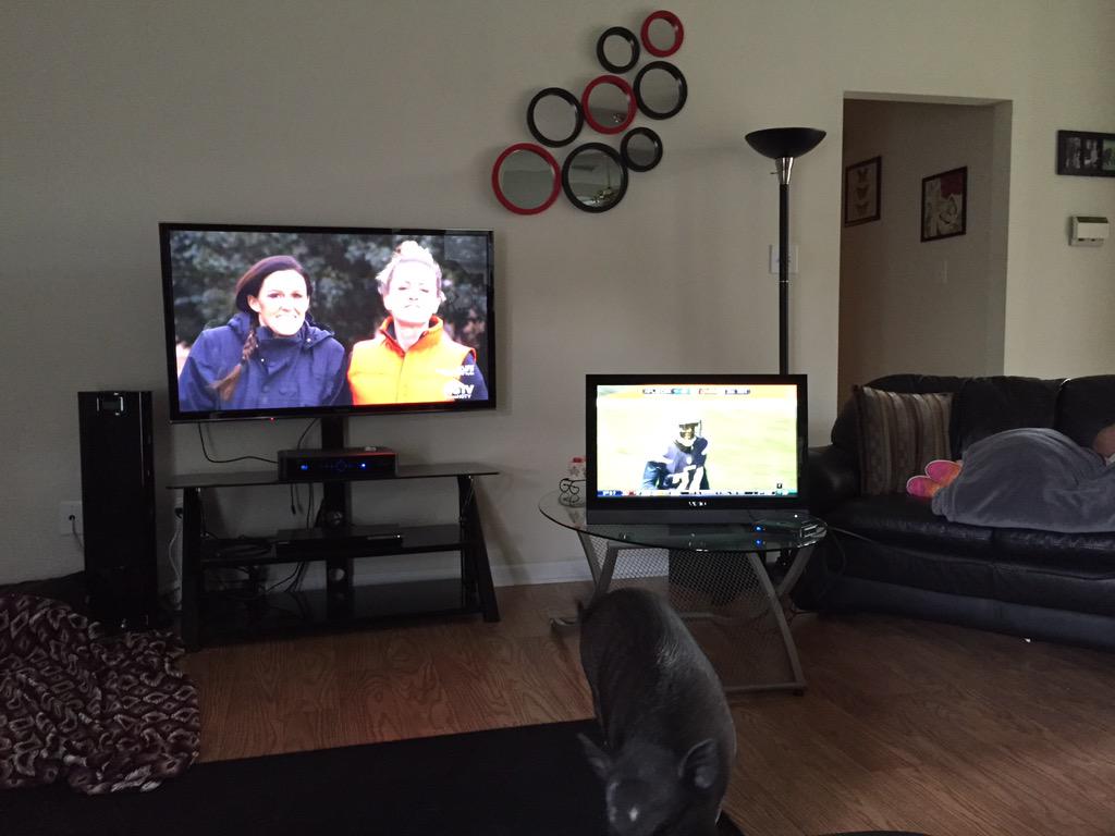 dscntgaragedoor's tweet photo. RT realJohnGainer realJohnGainer: Even #minipigs love shanty2chic on hgtv #openconcept #mustwatch #diy #DoItYourse… http://t.co/jWaBkVyA7S