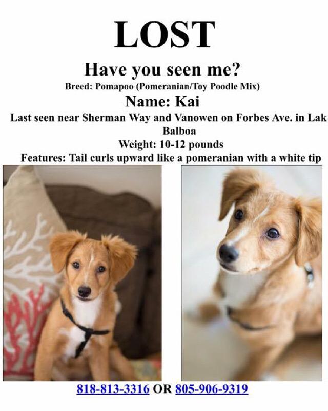 emlikespupusas's tweet photo. Kai is still missing& we've been doing everything possible to find him. Please contact me with any details #FindKai http://t.co/QyGYmW4TYa
