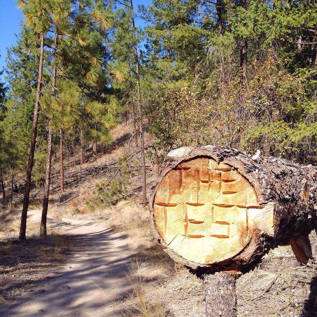 alixmahe's tweet image. Ready to cheer the bike racers on at the #testofhumanity in #Summerland. ift.tt/1OnIdxm