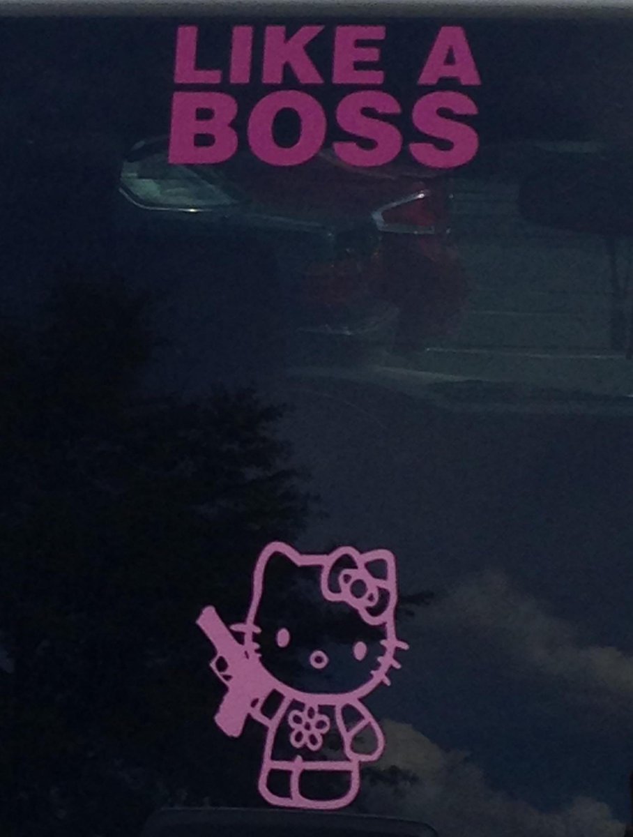 klacarolina's tweet photo. Kitty don't play! http://t.co/hiowVnN5u6