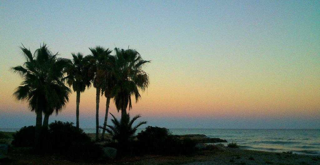 CostaAzahar_'s tweet photo. RT @VaneFelipDaras: Placeres de Domingo #PlayaDeNules #CostaAzahar https://t.co/CQSfTjXvXP #Castellón