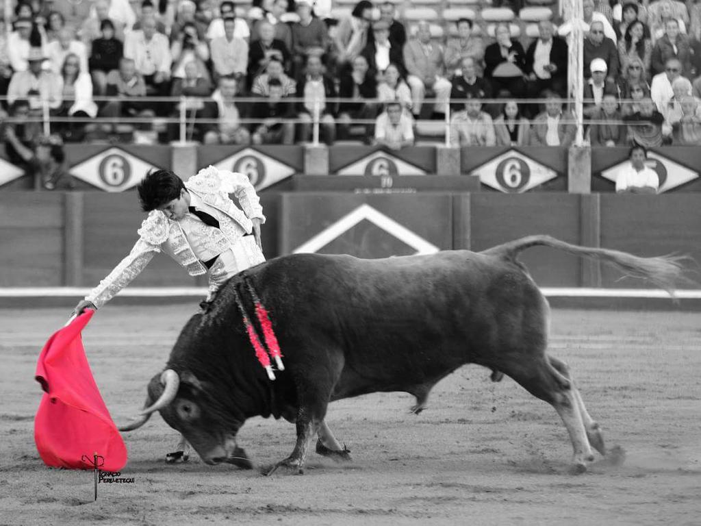 Juan del Álamo @taurinadelamo en la pasada Feria de Salamanca. Buena foto de <a href="/ignapereletegui/">ignacio perelétegui</a> !! 👏👏👏