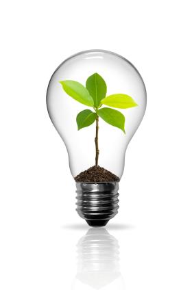 GrowingAgile's tweet photo. The Problem Solving Tree (free exercise) http://t.co/erROjKhE9k  An oldie but goodie http://t.co/w3dUv38uch