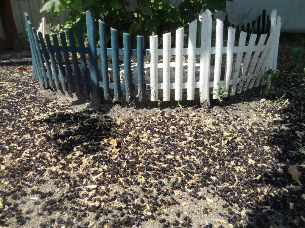 Unr's tweet image. #ЗдороваяФерма 
Жителей села Новомуслюмово и Султаново атаковали полчища мух с птицефабрики.