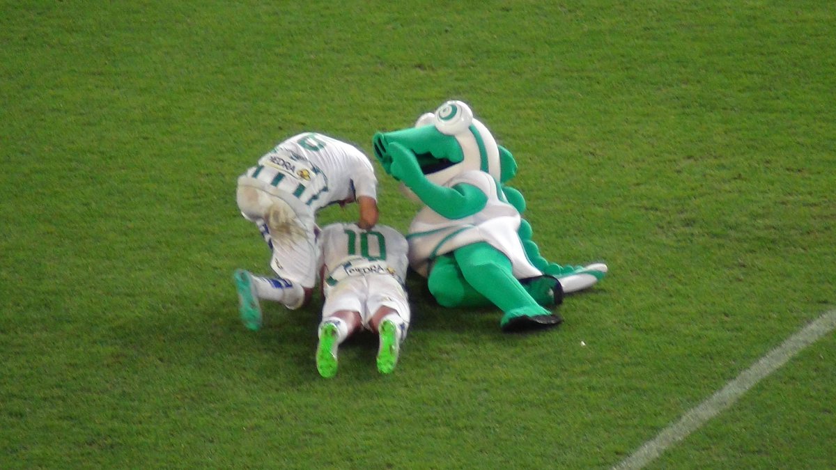 CorDeportes's tweet photo. Final! El @cordobacfsad se reencuentra con la victoria en El Arcángel. 1-0 #CCFvSDP http://t.co/ZAih6tlEt7 http://t.co/bjjQSYNq1m