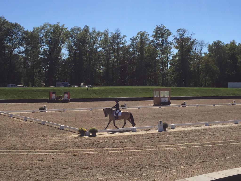 NEDAPress's tweet photo. 4th Level Freestyle Championship at #NEDAFall #dressage #horseshow http://t.co/3uu3RF9Dpn