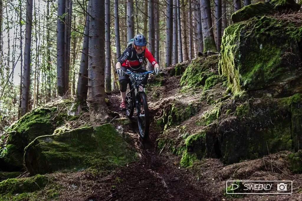 Brian Hutchinson tweet media