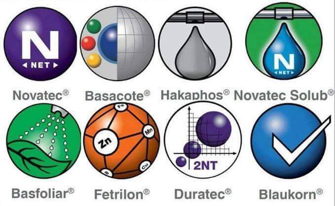 COMPO EXPERT Turkey tweet media