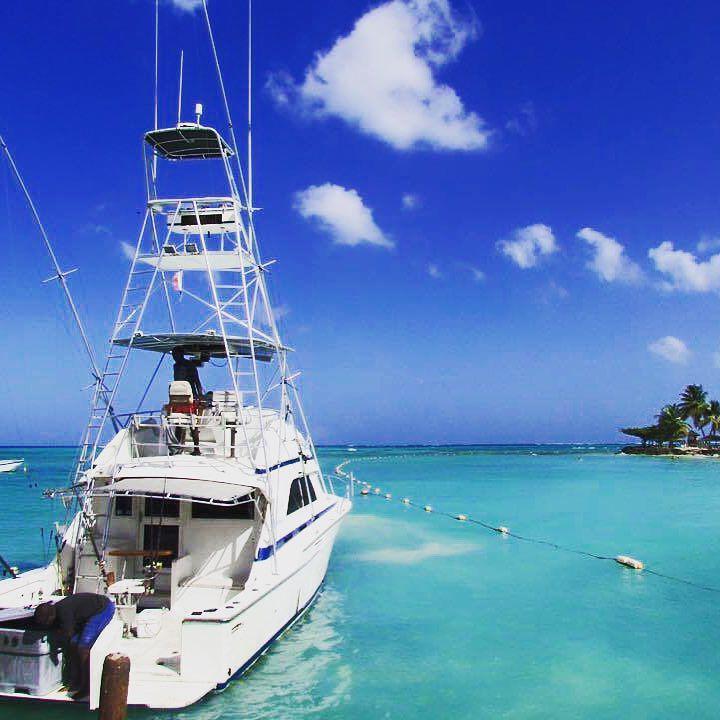 MotMotLodge's tweet photo. Fancy a bit of Deep Sea Fishing? Let us organise your #perfect #adventure while you stay a… http://t.co/rXqczwsfP8 http://t.co/CHyvoSGAoy