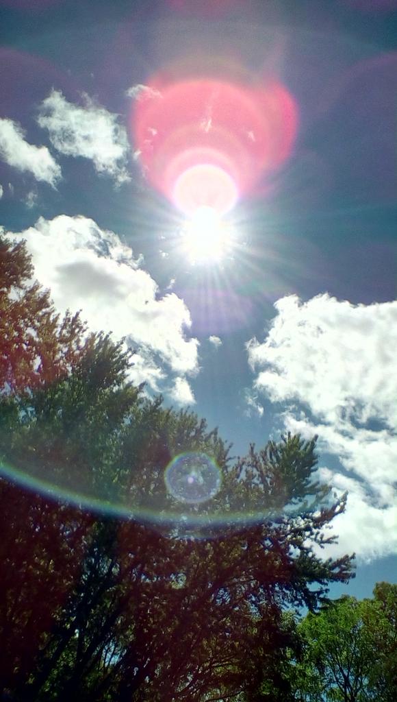 Christina Joy Luongo (@joyluongo) on Twitter photo 