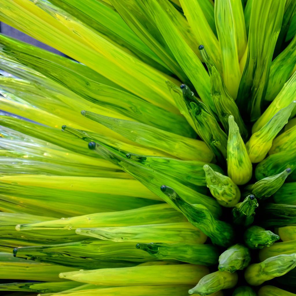 Happy Birthday to one of my favorite artists, Dale Chihuly.     