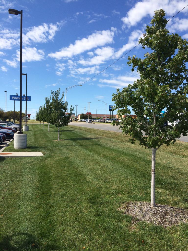 treesrtheanswr's tweet image. Saved 5 lives today.  #removehardware #treechat