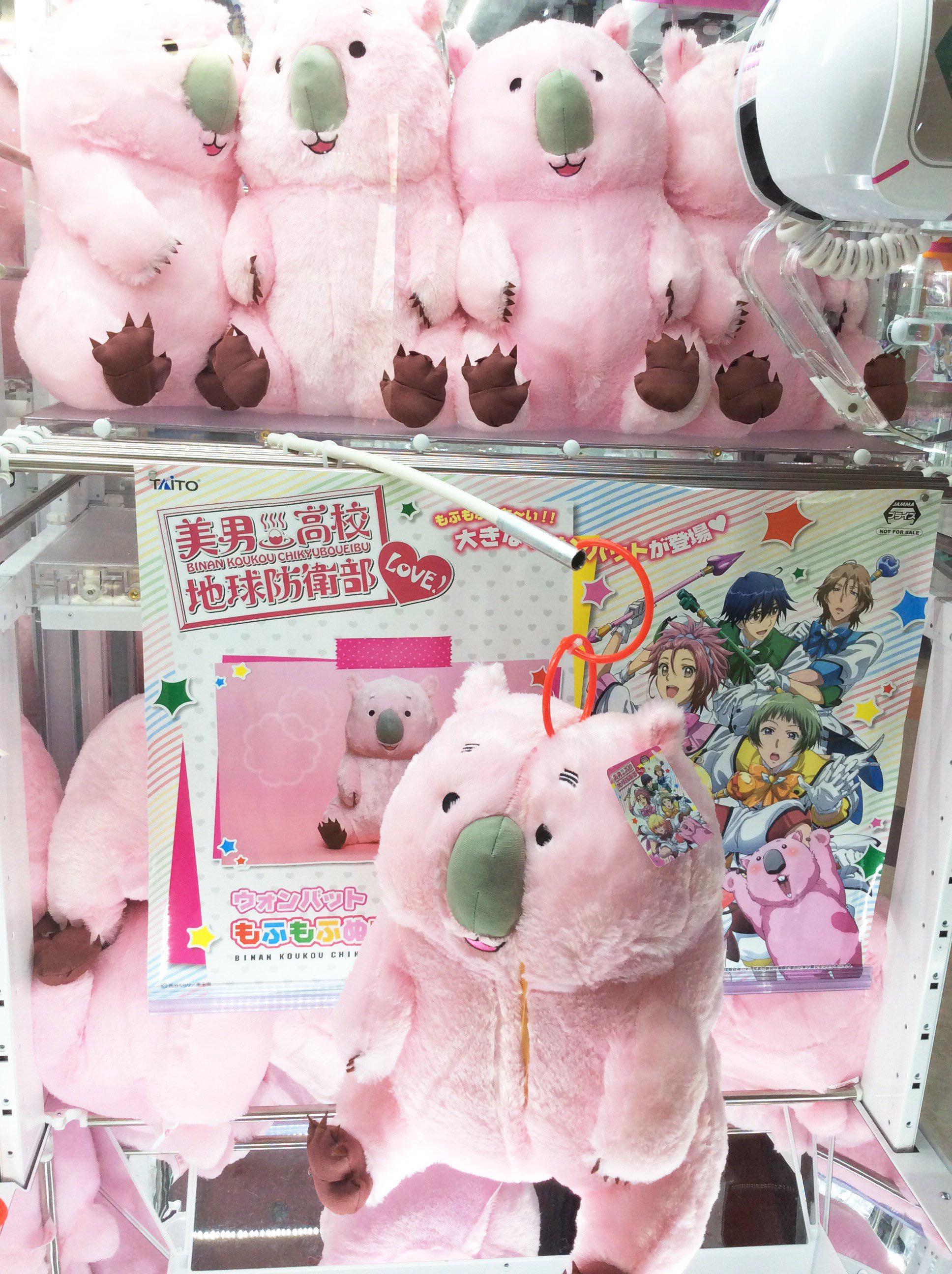 ついに再販開始 美男高校地球防衛部love ウォンバット ぬいぐるみ ぬいぐるみ Revista Universuljuridic Ro