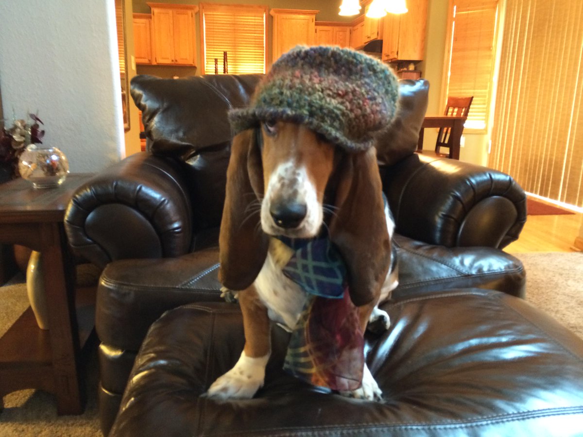 MillionDogsClub's tweet photo. Check out Ella, the new #MillionDogsClub member, she is so awesome!
Join&help us in our cause http://t.co/SE4Mr10sp9 http://t.co/fvB46tf7m8