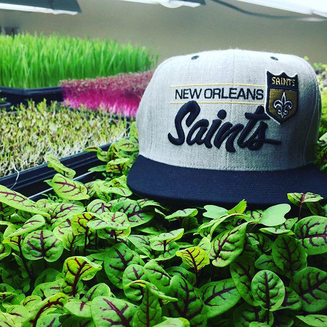 southerncityfa1's tweet image. Still reppin'  #localAsF #loyalAsF #urbanfarm #microgreens #saints #fiveOHfo #neworleans