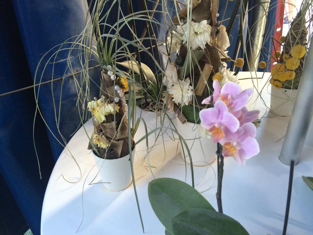 Scheltec's tweet image. Trieste vertoning Nederland Bloemenland #Hollandpaviljoen #FloraHolland op Expo 2015 Milaan.