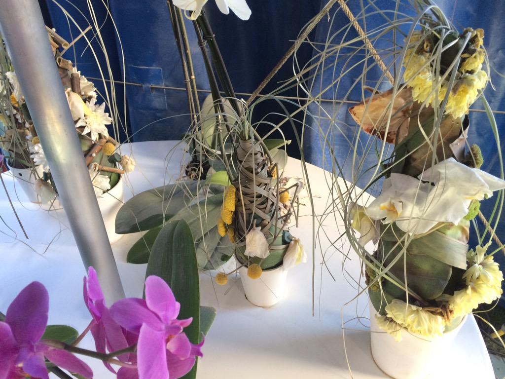 Scheltec's tweet image. Trieste vertoning Nederland Bloemenland #Hollandpaviljoen #FloraHolland op Expo 2015 Milaan.