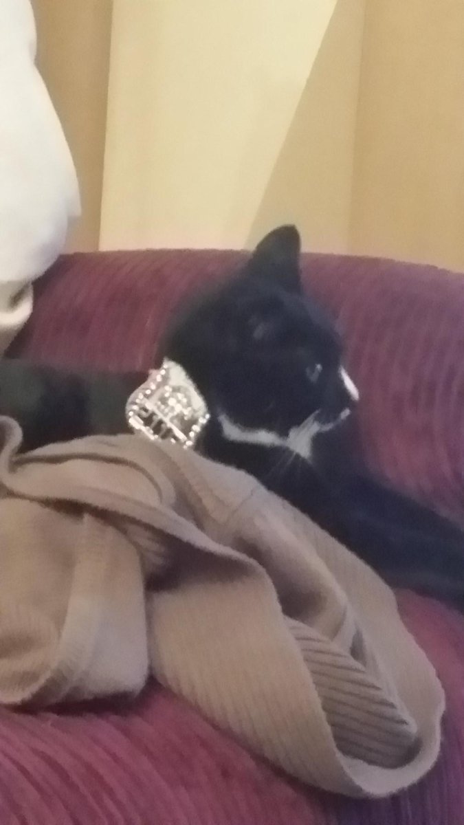 FrogCec's tweet photo. @SymbologySyrup @KellyDuggan1981 #copcat #PCPlay #partnersincrimefighting #thehood http://t.co/y9XM5wWjhe