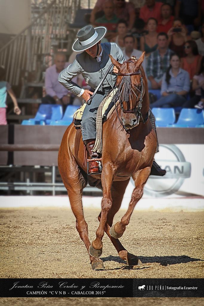 edupenafoto's tweet photo. Enhorabuena @PeaCordero 1° #CVNB #Cabalcor #2015 @alavaqueradoma @MencantaCordoba @CordobaESP @cordobaecuestre http://t.co/DVnlqbaGsK