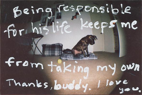 bcarriee's tweet photo. #suicidepreventionmonth #postsecret 😊🐶 http://t.co/LmWqLG0ags