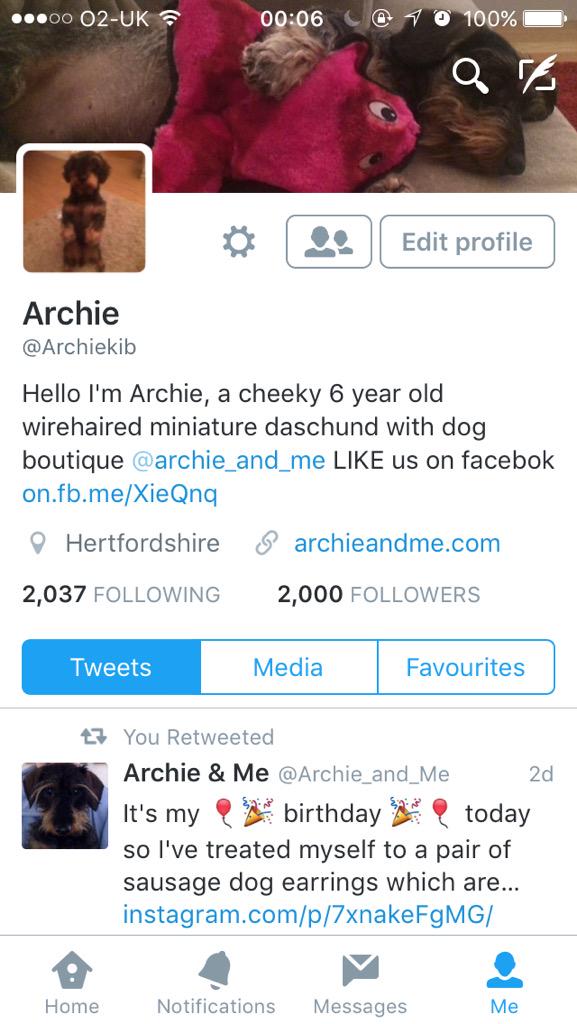 Archie_and_Me tweet picture