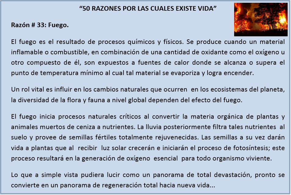 ikerhuitzi's tweet photo. "50 RAZONES POR LAS CUALES EXISTE VIDA" - Razón # 33: Fuego. http://t.co/6g7muWlGWV