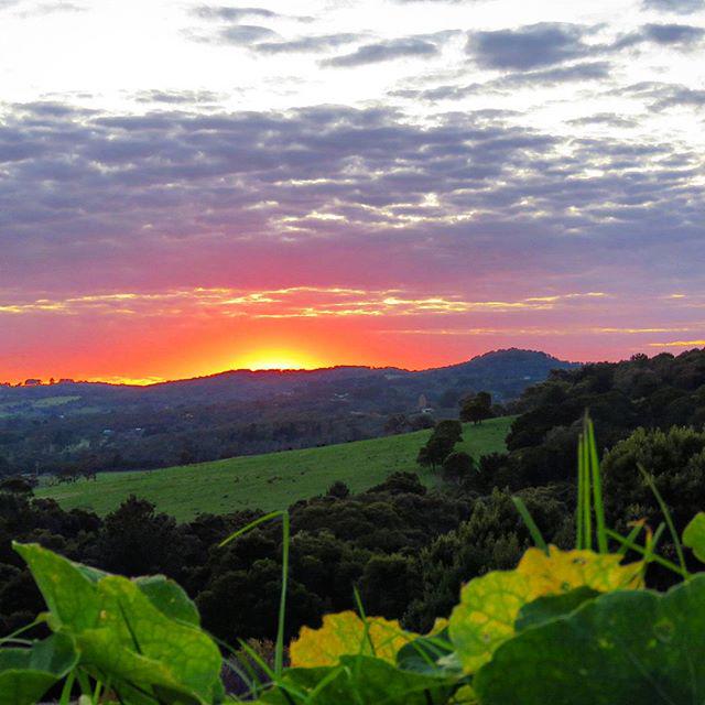 The start of a beautiful spring day in the <a href="/morningtonpen/">Mornington Peninsula</a> region of Victoria (Photo via IG/annette_hobbs)