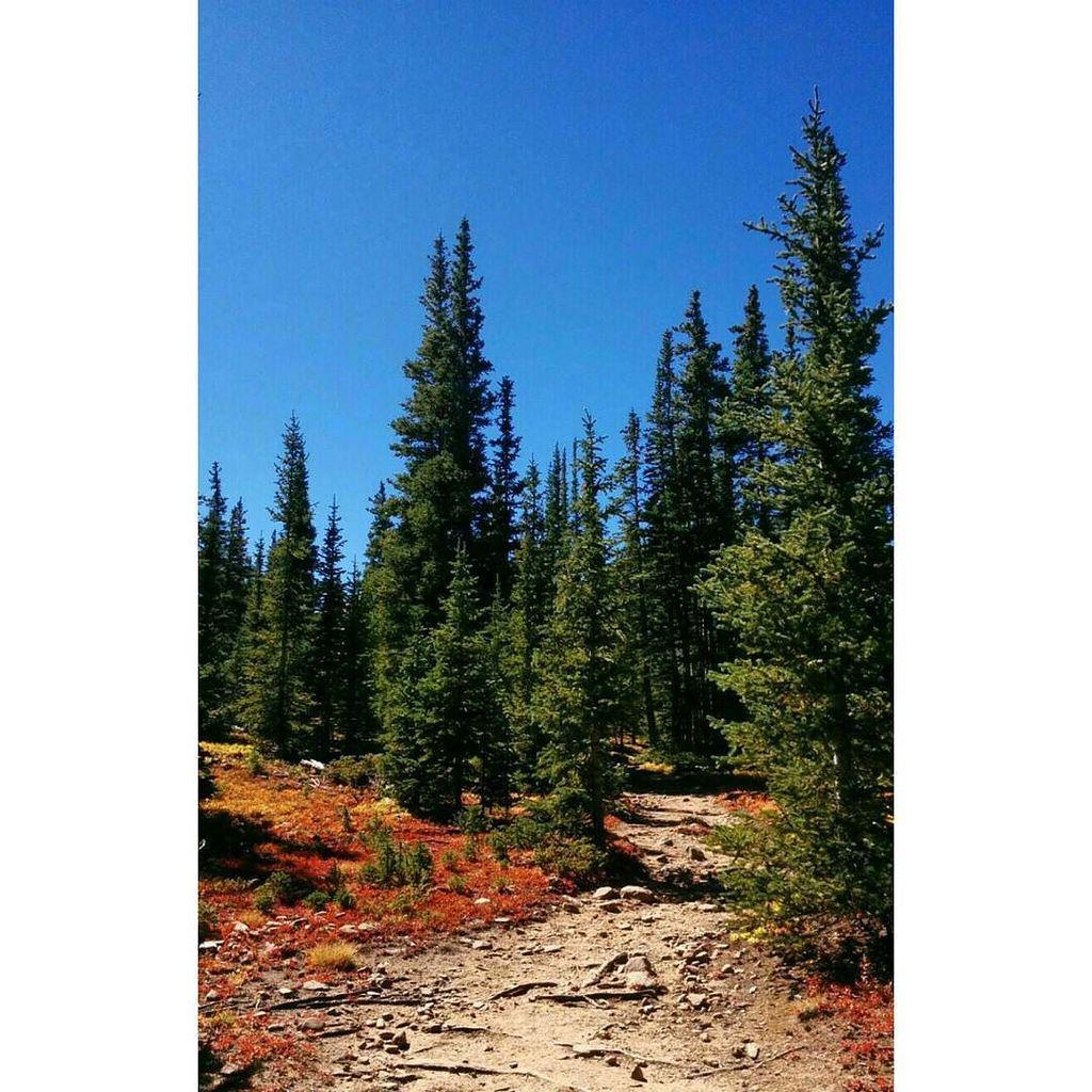 PC: d_gonzales74 #TheTrail#ColoradoHiking#Nature
#MountEvansWilderness#HellsHole 
#Colorad… bit.ly/1LH6Y1r