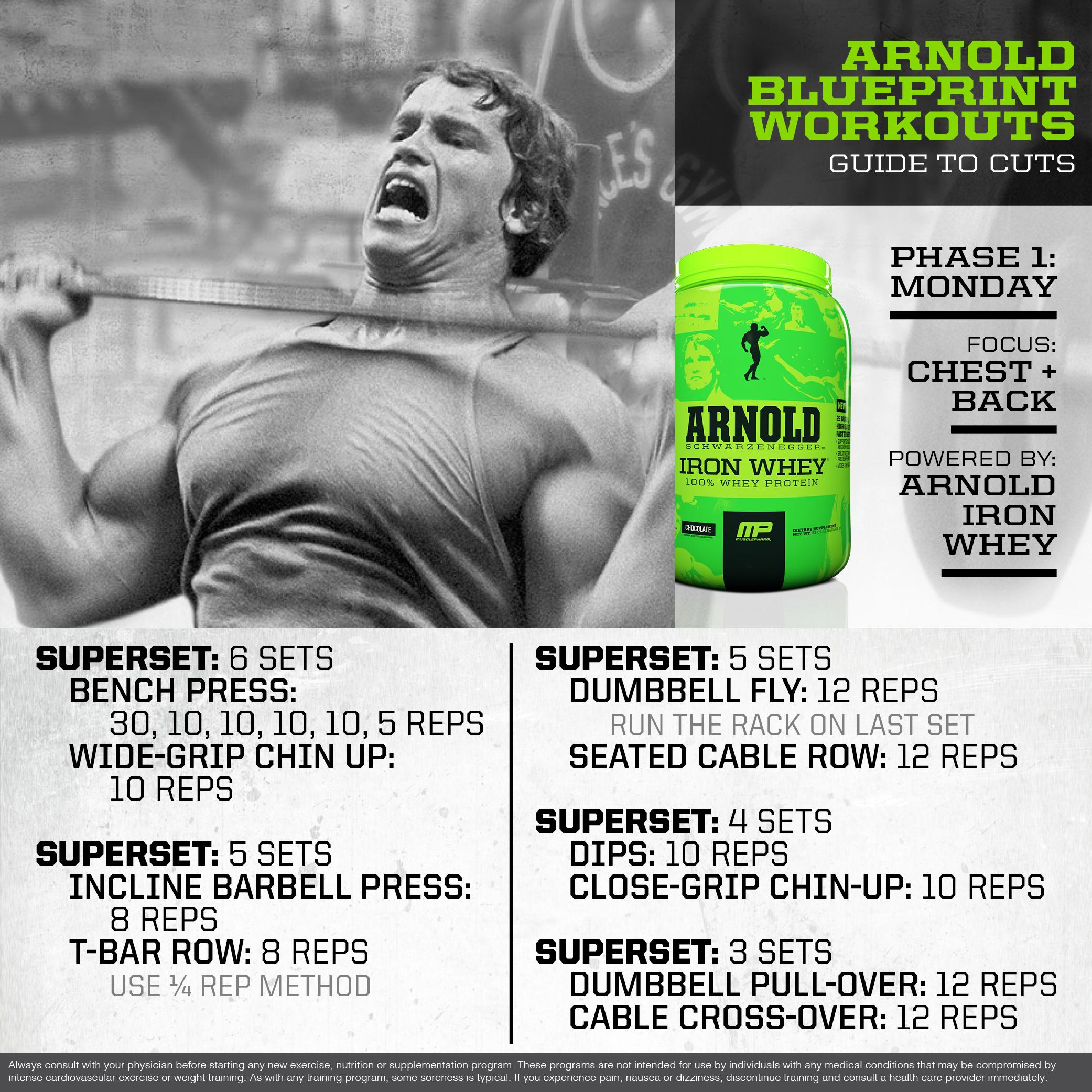 What Is The Arnold Workout Split? - Steel Supplements