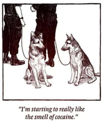 williamkozy's tweet image. #dogs #dogsrule #dogsofjoy #dogsoftwitter #drugs #drugswelovetostop @MomHatesDrugs @DrugSniffingCat @GermanShephrds