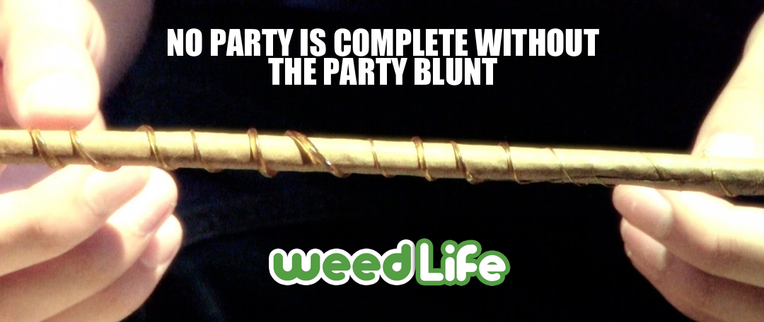 WeedLifeNetwork's tweet photo. We hope everyone had a great weekend! #weedlife #weedlifenetwork #cannabissocialnetwork http://t.co/T1ZPUfTWQK http://t.co/zIZRYsSGny