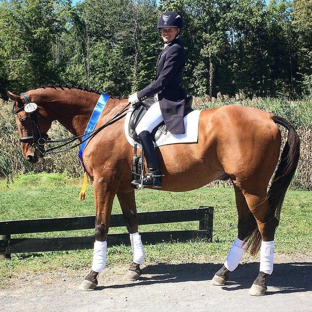 EQPpics's tweet photo. Post by krisynordgren: Region 8  I-2 A/A Champions! @nedadressage @usdfofficial #nedafall #nedadressage #dressage #… http://t.co/7mrdIBbEeo