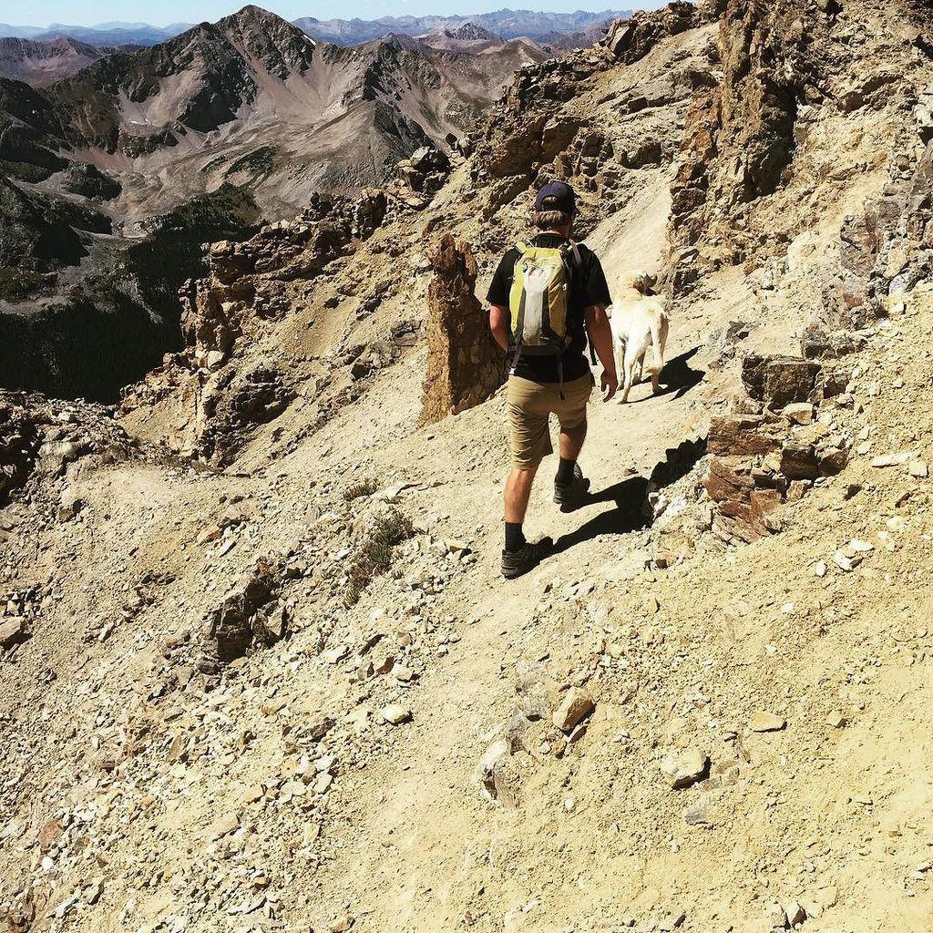 escape2colorado's tweet photo. PC: ebullethayes Howie the lab bagging peaks without a second thought #snacklab #labrador … http://t.co/QU34VepuTa http://t.co/MFK6dnxR3x