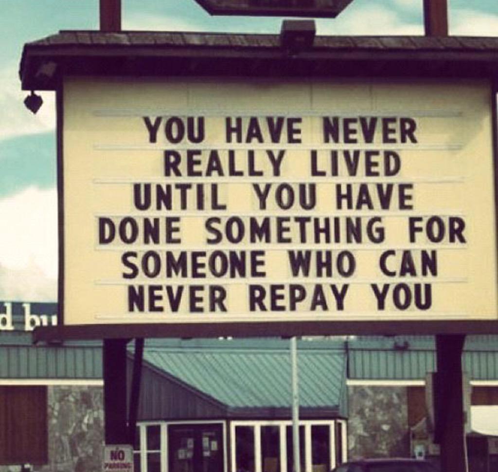 Swervesshouse's tweet image. True status