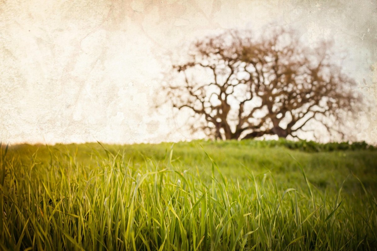 1800senior.net/listings/categ…