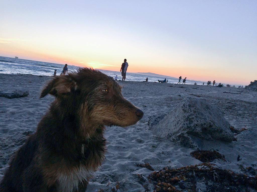 Simba Rivera tweet media