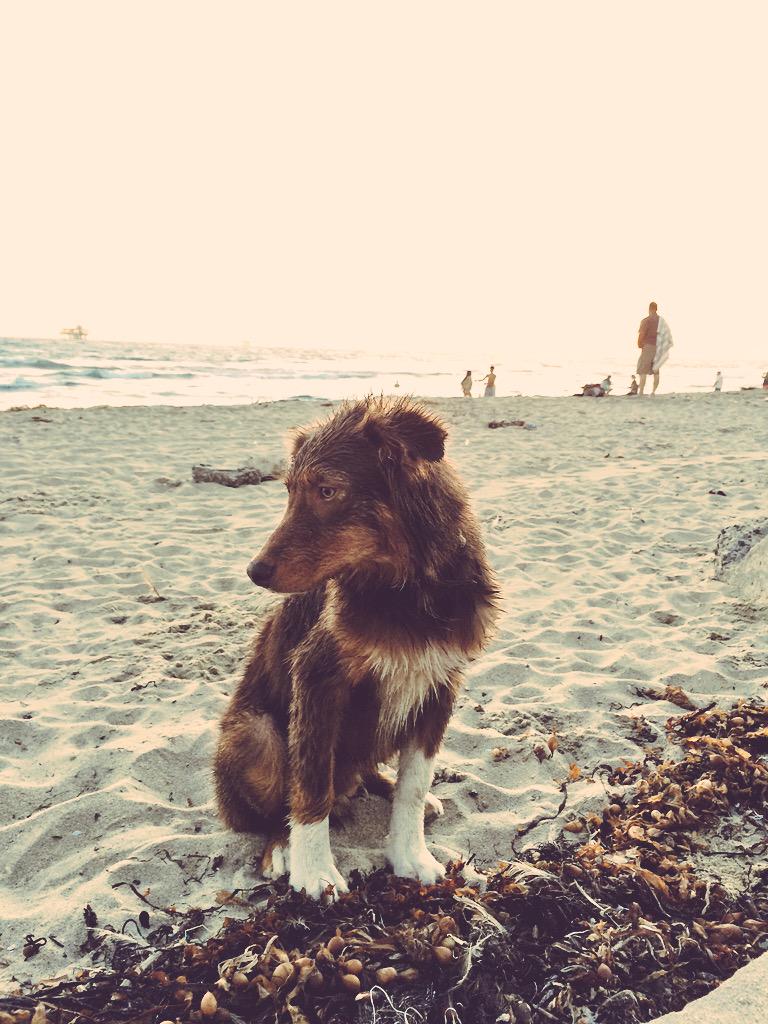 Simba Rivera tweet media