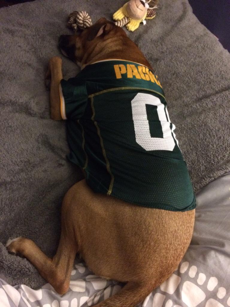 22prob's tweet photo. @15krob @JRob110 Loki is barely hanging in there he's so tired. ๐ด๐ถ#halftimenap #GoPackGo http://t.co/2KPCRg7ET6