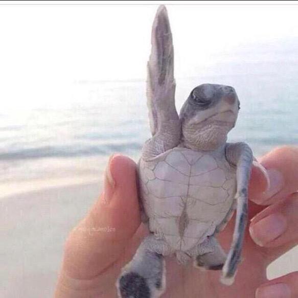 tbhplzdont's tweet photo. Who’s tired of school already? http://t.co/va5bHVi6s9