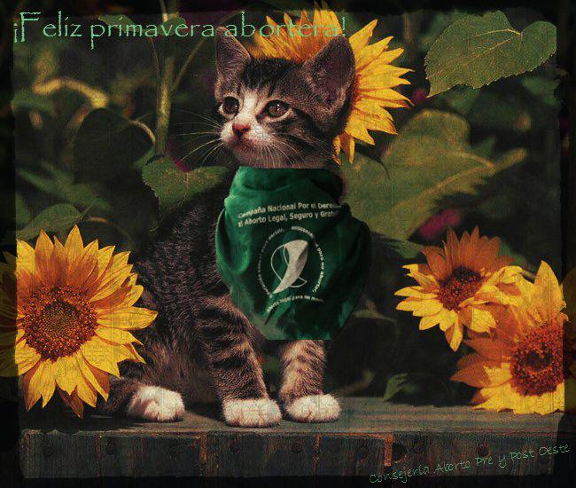 AbortoPreYPost's tweet photo. ¡Feliz #primavera abortera! http://t.co/xMKr009iV7