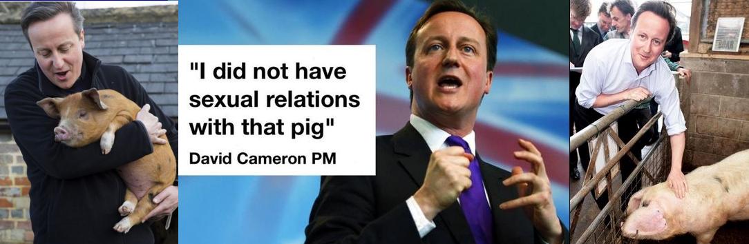 [Image: CPZe-ldWsAA70UQ.jpg]